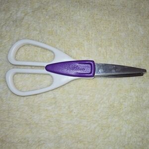 Wilton scissors.